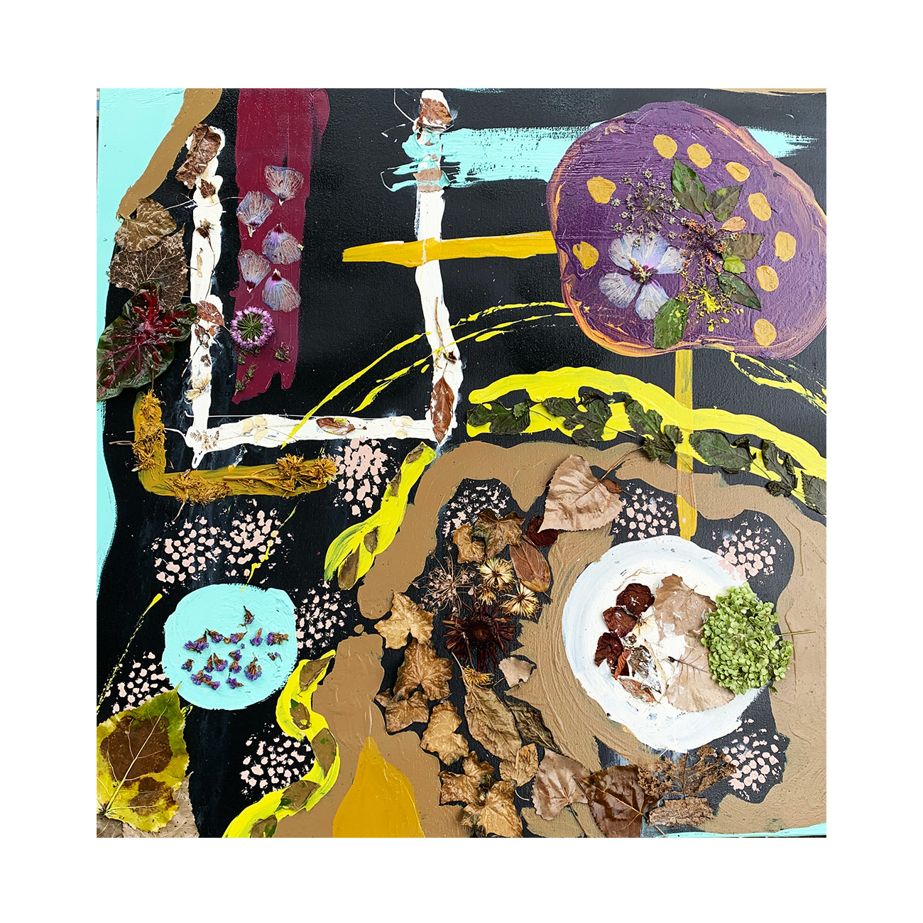 BACKYARD by India Solomon